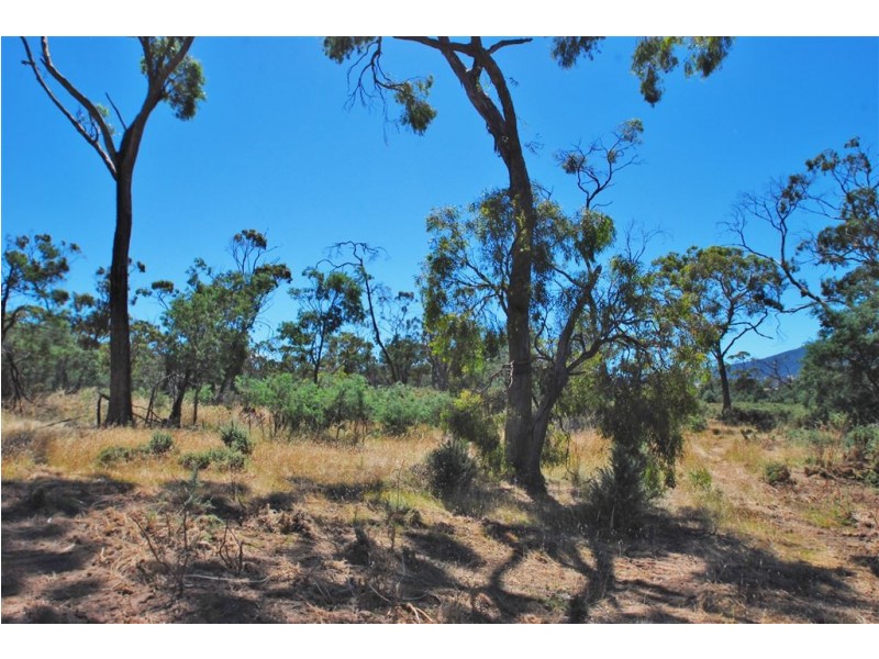 Lot 4 Leona Road, Avoca TAS 7213