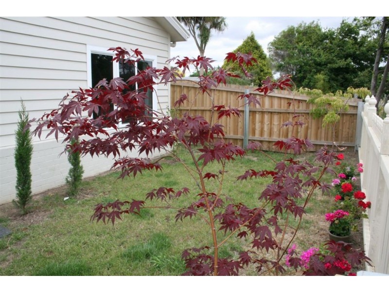 1/24 Lewis Street, Longford TAS 7301