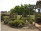13 West Street, Campbell Town TAS 7210