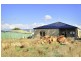 121 High Street, Campbell Town TAS 7210
