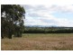 448 Pateena Road, Longford TAS 7301