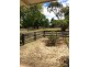 4 Queen Street, Campbell Town TAS 7210