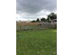 78 Pakenham Street, Longford TAS 7301