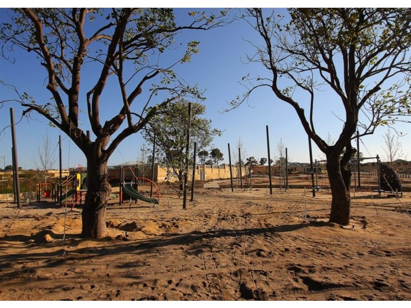 19 Burlington Drive, Baldivis WA 6171