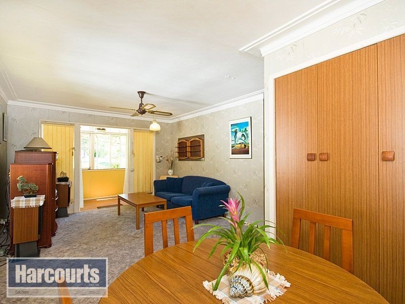 19 Whitby Street, Keperra QLD 4054