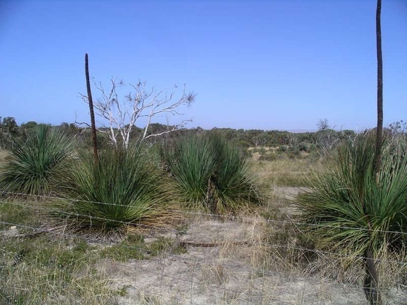 Lot 167 Shipway Road, Currency Creek SA 5214