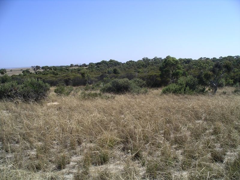 Lot 167 Shipway Road, Currency Creek SA 5214