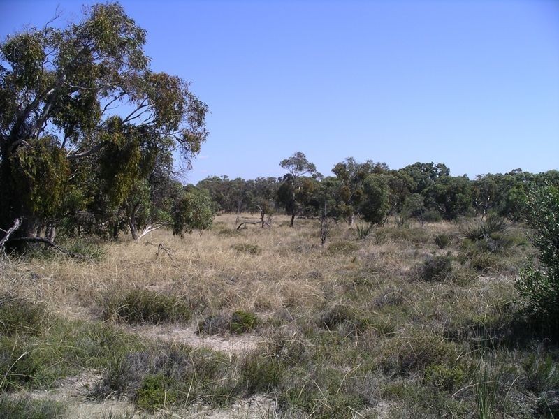 Lot 167 Shipway Road, Currency Creek SA 5214