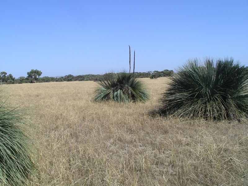 Lot 167 Shipway Road, Currency Creek SA 5214