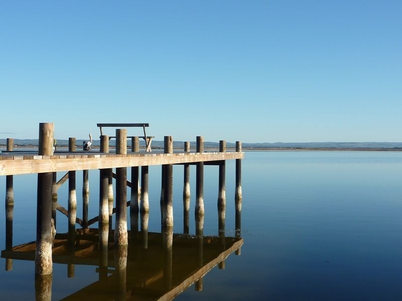 Lot 57 Narnu Bay Drive, Hindmarsh Island SA 5214