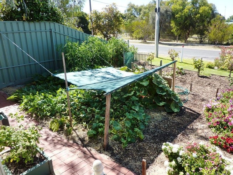 3 Thornbury Street, Goolwa Beach SA 5214