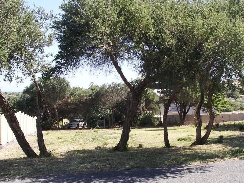 31 Underwood Avenue, Goolwa Beach SA 5214