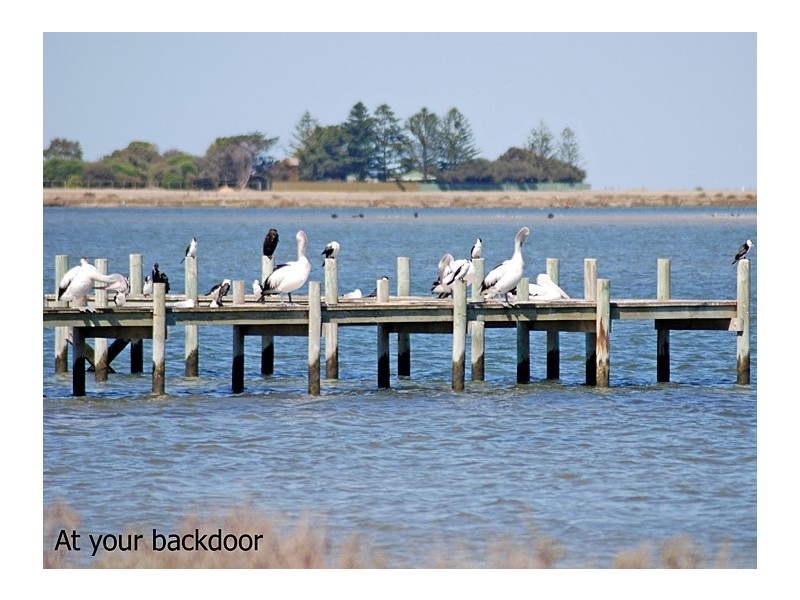 51 Mundoo Channel Drive, Hindmarsh Island SA 5214