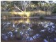 Lot 2 Range Road, Victor Harbor SA 5211