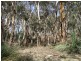 Lot 2 Range Road, Victor Harbor SA 5211
