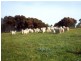 Lot 2 Range Road, Victor Harbor SA 5211