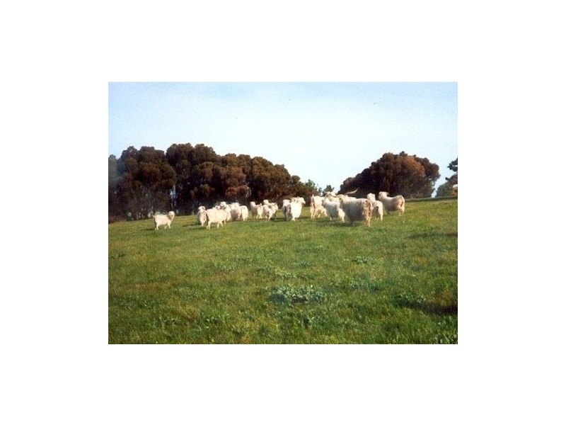 Lot 2 Range Road, Victor Harbor SA 5211