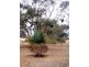 Lot 2 Range Road, Victor Harbor SA 5211