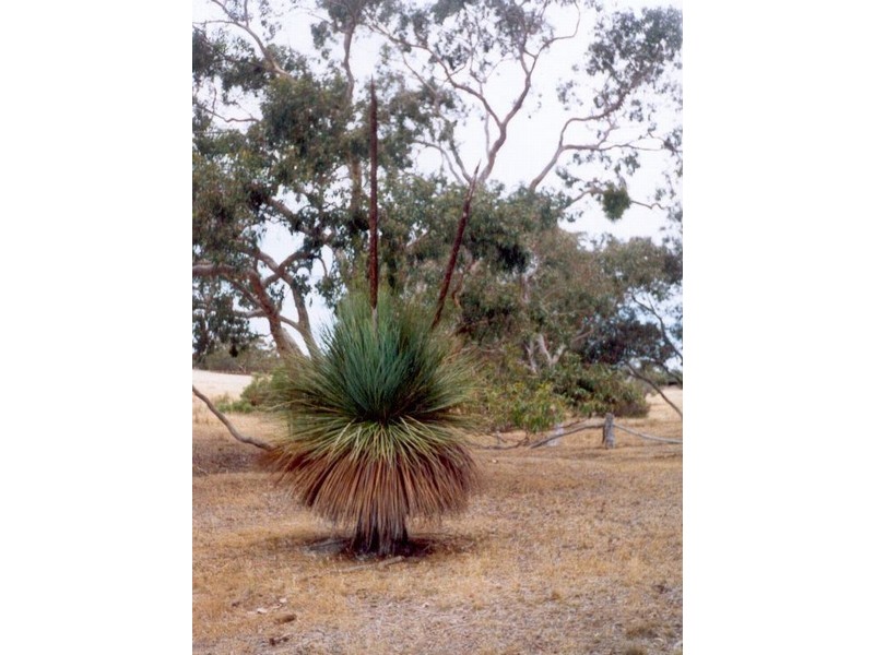 Lot 2 Range Road, Victor Harbor SA 5211