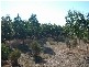 RSD 1520 Meadows Road, Willunga SA 5172