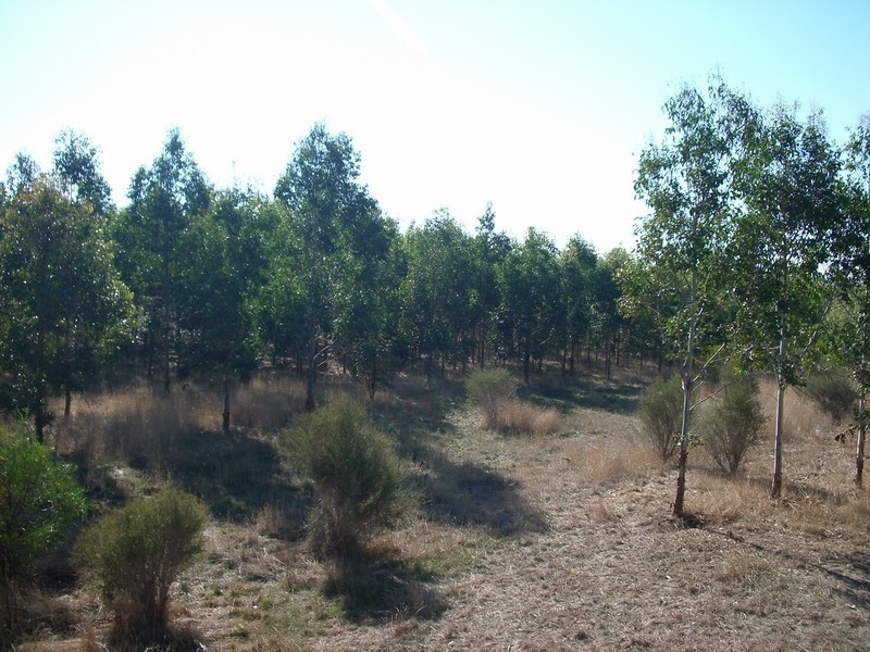 RSD 1520 Meadows Road, Willunga SA 5172