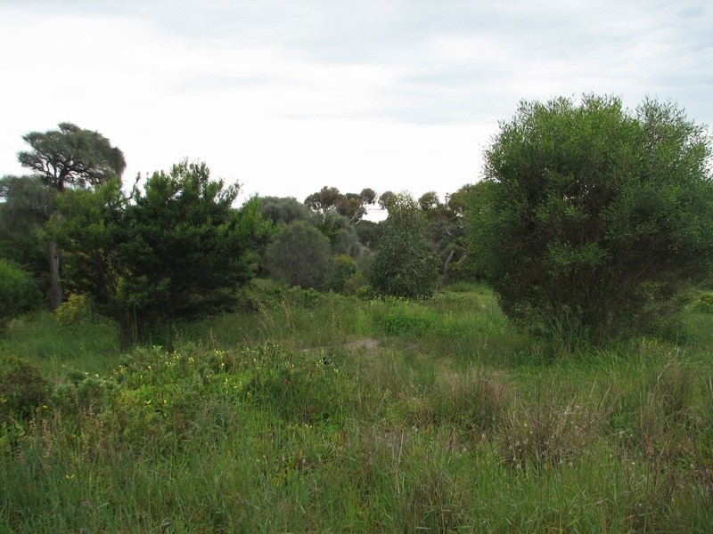 16 Haynes Street, Goolwa Beach SA 5214