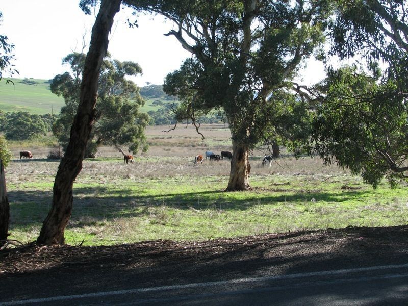 Lot 1 Goolwa-Meadows Road, Tooperang SA 5255