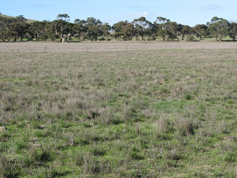 Lot 1 Goolwa-Meadows Road, Tooperang SA 5255