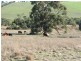 Lot 1 Goolwa-Meadows Road, Tooperang SA 5255