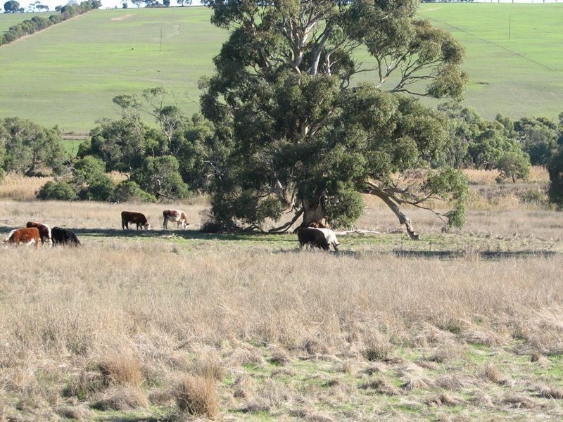 Lot 1 Goolwa-Meadows Road, Tooperang SA 5255