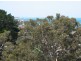 Lot 43 Pine Avenue, Victor Harbor SA 5211