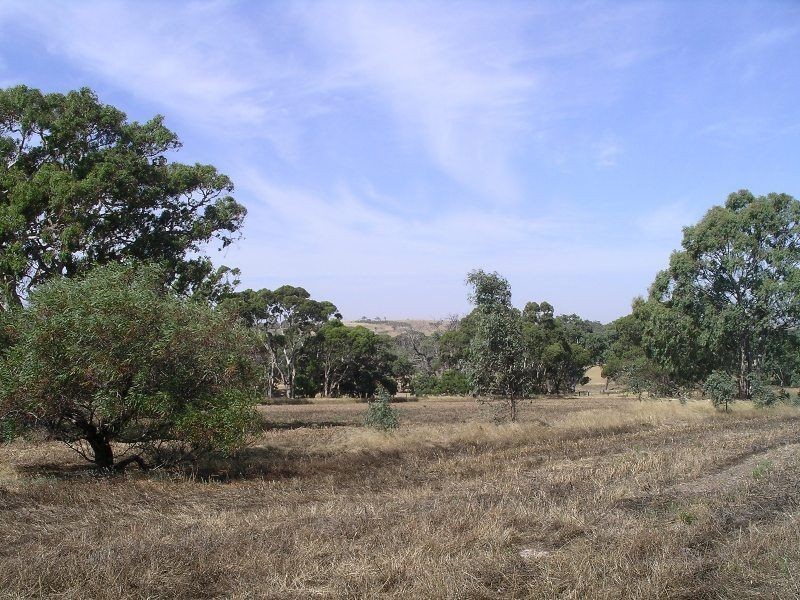 14 Gould Road, Currency Creek SA 5214