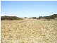 Lot 8 Marina Court, Low Head TAS 7253