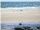 Lot 4/112 Bell Buoy Beach Road, Bell Buoy Beach, Low Head TAS 7253