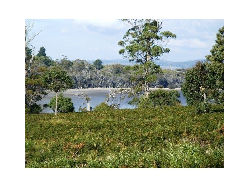 83 Gerzalia Drive, George Town TAS 7253