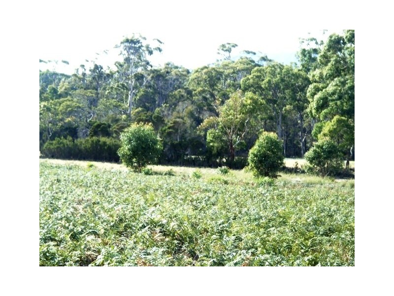 83 Gerzalia Drive, George Town TAS 7253