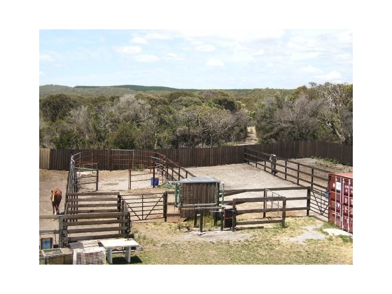 2546 Gees Marsh Road, Bellingham TAS 7254