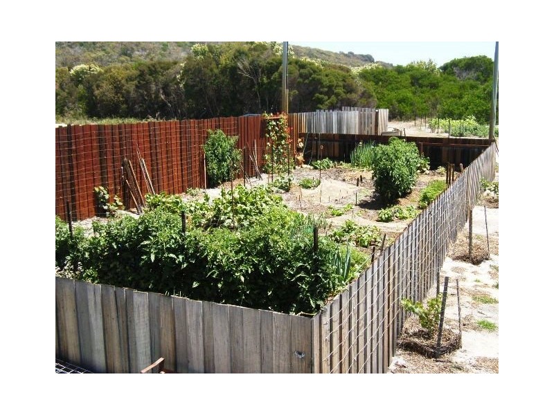 2546 Gees Marsh Road, Bellingham TAS 7254