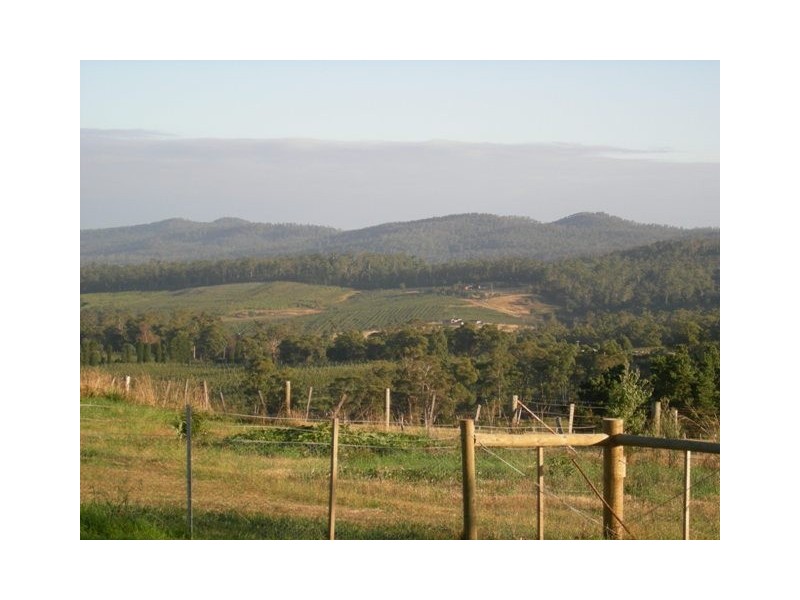 17 Miller Court, Hillwood TAS 7252