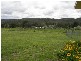 17 Miller Court, Hillwood TAS 7252