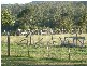 17 Miller Court, Hillwood TAS 7252