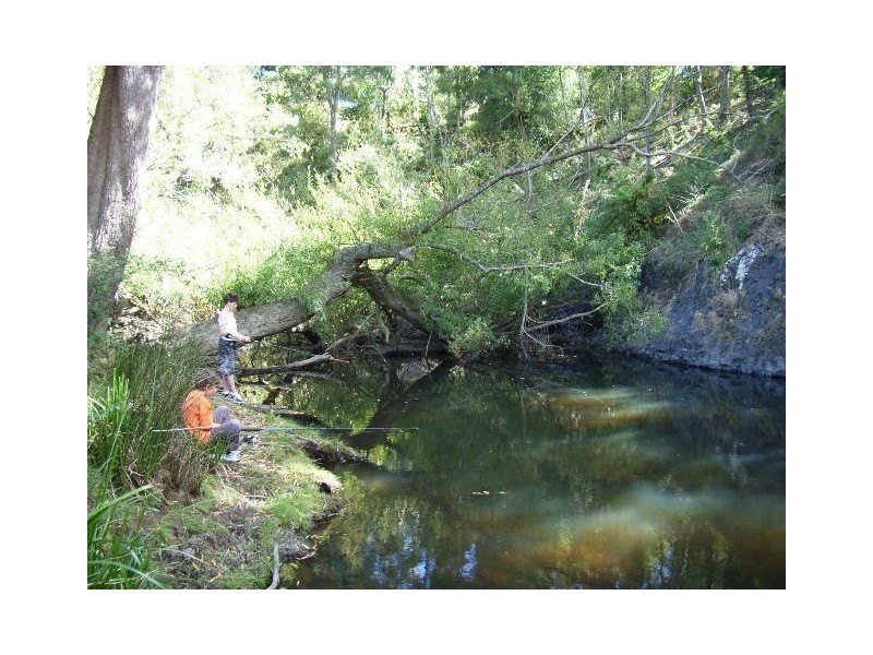 5005 Bridport Road, Pipers River TAS 7252