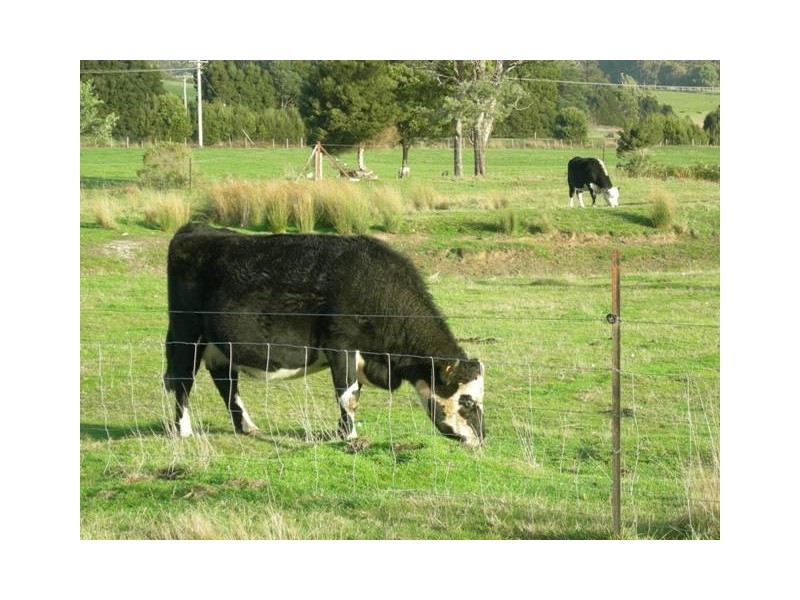 5456 Bridport Road, Pipers River TAS 7252