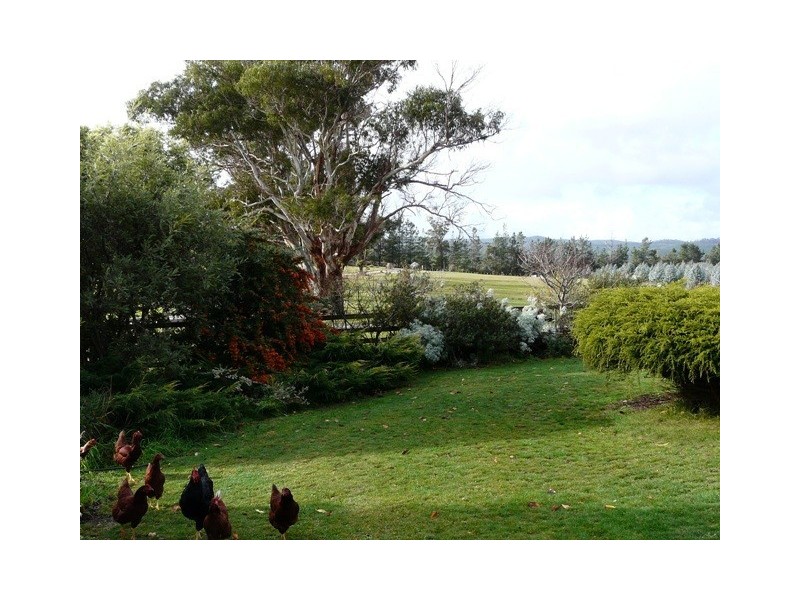 2557 Pipers River Road, Pipers River TAS 7252