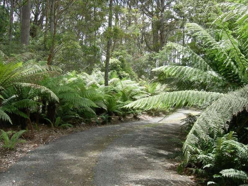 5558 Bridport Road., Pipers River TAS 7252