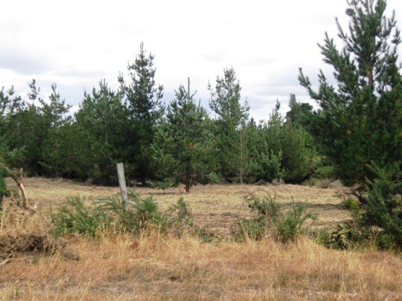 Lot/1A Cemetary Road, George Town TAS 7253