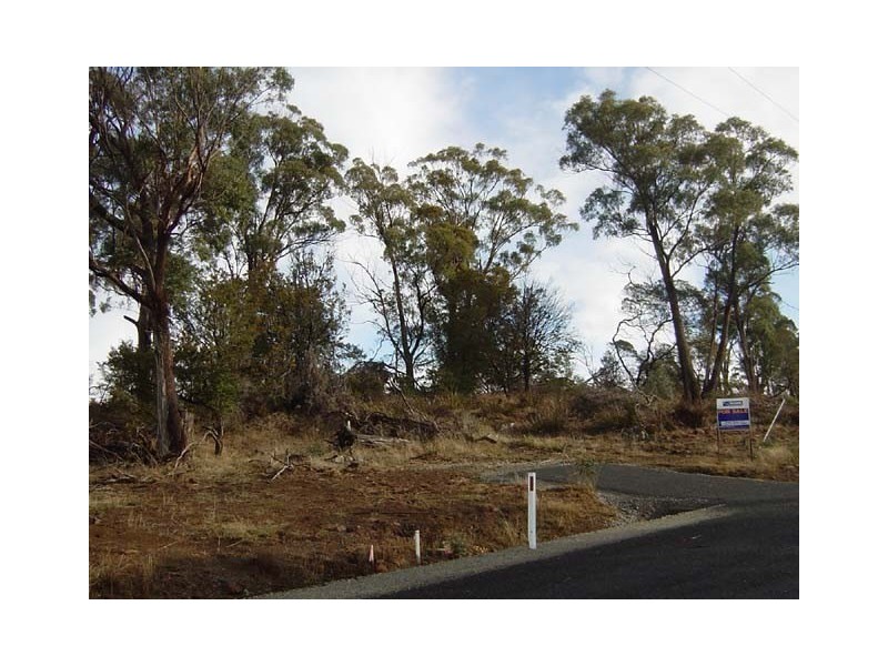 39 Sherbourne Drive, Windermere TAS 7252
