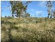 39 Sherbourne Drive, Windermere TAS 7252