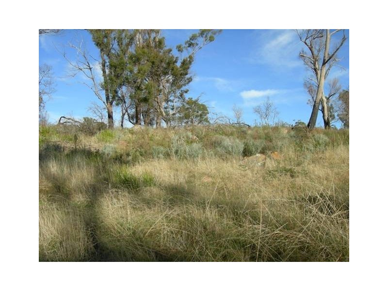 39 Sherbourne Drive, Windermere TAS 7252