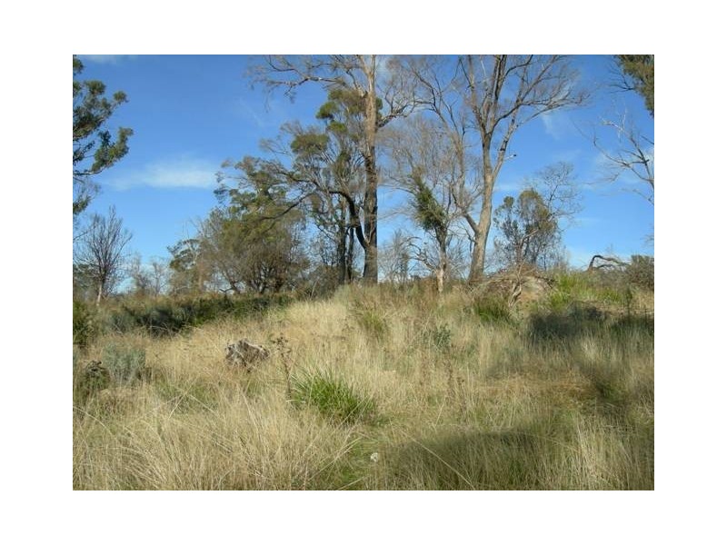 39 Sherbourne Drive, Windermere TAS 7252